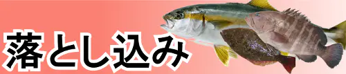 船落とし込み釣り特集トップ