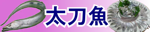 船タチウオ特集特集トップ