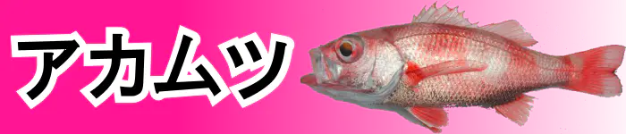 おすすめアカムツ用ロッド : 海釣り、船釣り専門店の沖三昧 ,釣具販売,釣具通販