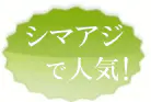 シマアジ用で人気！