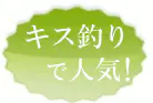 キス釣り用で人気！