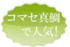 コマセ真鯛用で人気！