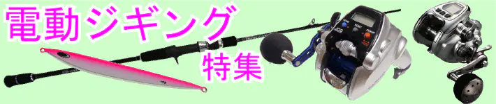 シマノ 電動リール ジギングの人気商品・通販・価格比較 - 価格.com