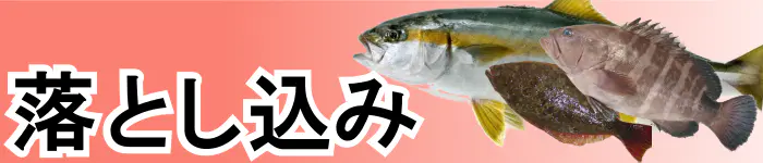 船落とし込み釣り特集トップ 海釣り 船釣り専門店の沖三昧 釣具販売 釣具通販