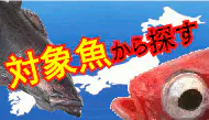 対象魚から商品を探す