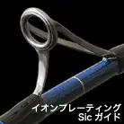 イオンプレーティングSicガイド