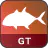 GT