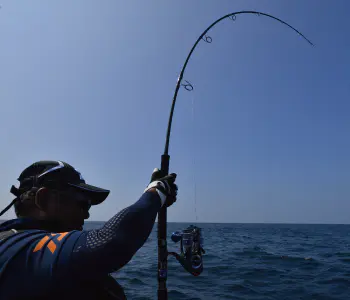 Amazon | ダイワ(DAIWA) ジギングロッド ソルティガAP(エアポータブル) J66HS 釣り竿 | ダイワ(DAIWA) |  ジギングロッド