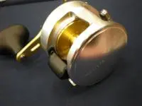 カルカッタ801F（左）