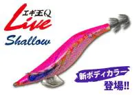 エギ王Q LIVE S（EGI OH Q LIVE S）