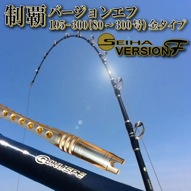 ゴクエボリューション制覇F 195-300ゴールドガイド - 55,000円