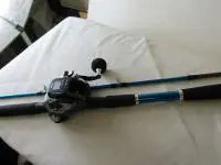 天秤タチウオセット