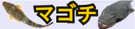 船マゴチ特集トップ 船マゴチ特集トップ
