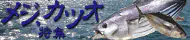 メジ・カツオ特集 メジ・カツオ特集