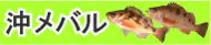 沖メバル釣り特集トップ 沖メバル釣り特集トップ