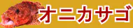 オニカサゴ特集トップ オニカサゴ特集トップ