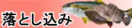 船落とし込み釣り特集トップ 船落とし込み釣り特集トップ