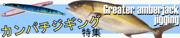 カンパチジギング特集