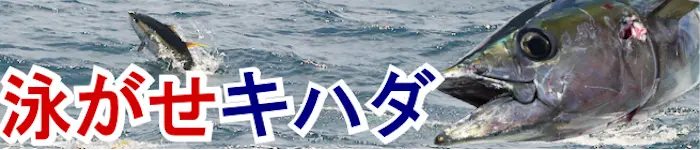 フカセ、泳がせキハダ特集