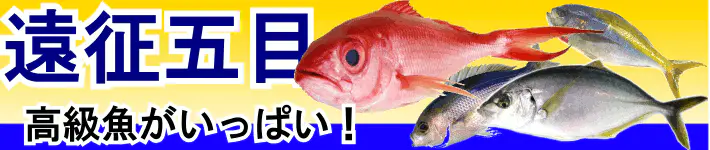 遠征五目　高級魚がいっぱい！