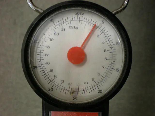 サルカン 最強結びの実験2 サルカン 最強結びの実験2