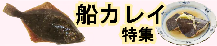 タチウオジギング特集