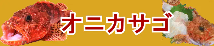 オニカサゴ特集　おすすめオニカサゴ竿