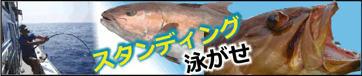 スタンディング泳がせ特集 スタンディング泳がせ特集