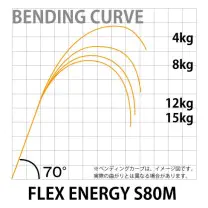 FLEX ENERGY S80M 