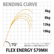 FLEX ENERGY S79MH