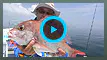 釣り百景 #040 伝統釣法タイラバで津軽半島の真鯛を狙う