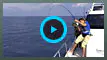 釣り百景 #002 奄美大島・巨大魚ロウニンアジを追う II パンツェッタ・ジローラモ
