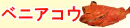 ベニアコウ特集トップ